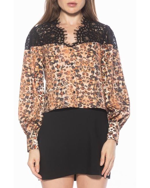 Alexia Admor Black Bryne Lace Trim Top