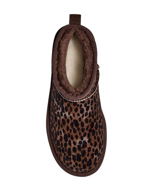 Ugg Brown Classic Mini Caspian Boots