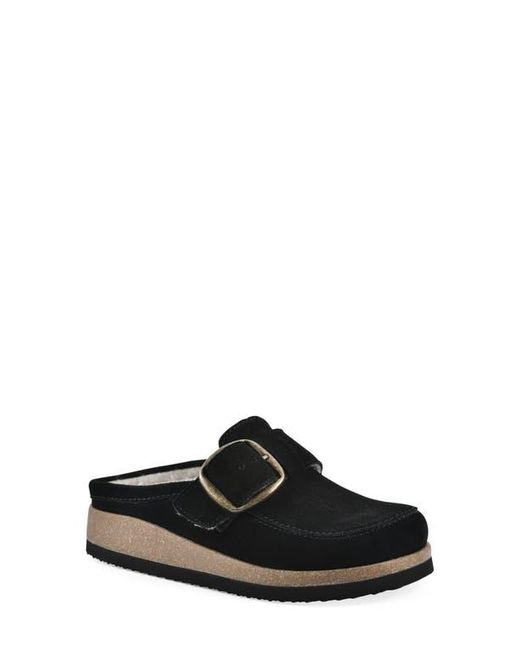 White Mountain Black Bueno Mule