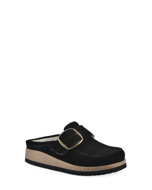White Mountain Black Bueno Mule