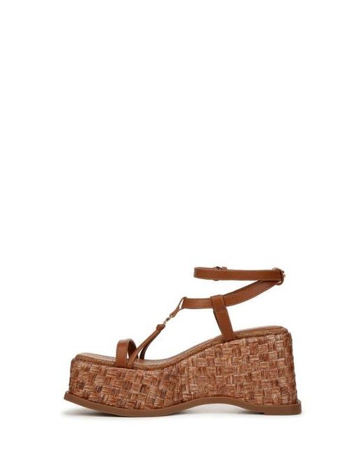 Circus by Sam Edelman Brown Odette Platform Wedge Sandal
