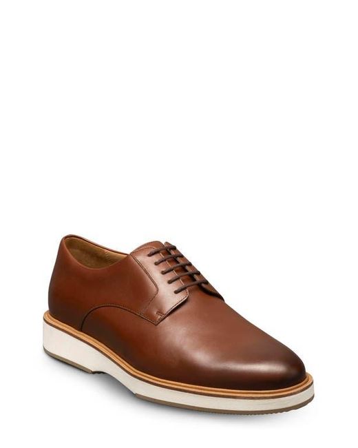 Allen Edmonds Brown Benson Derby Sneaker for men