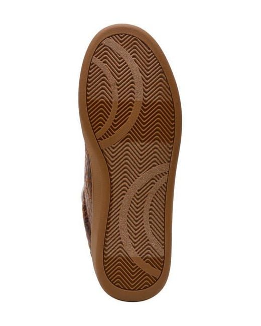 Dolce Vita Brown Venessa Low Top Sneaker