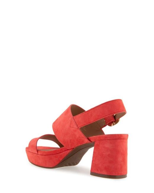 Aerosoles Red Camera Platform Sandal