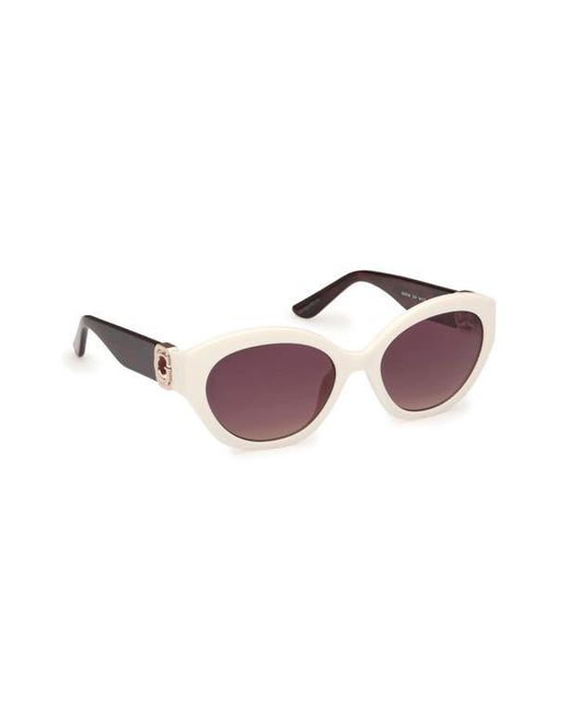 Guess Purple Oval Sunglasses for men
