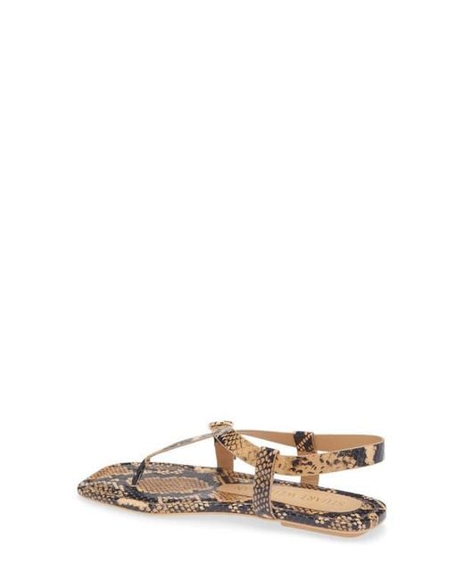 Stuart Weitzman Multicolor Benni Slingback Flat Sandal