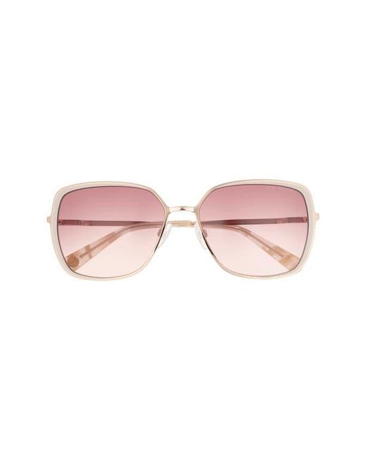 Ted Baker Pink 58Mm Gradient Square Sunglasses