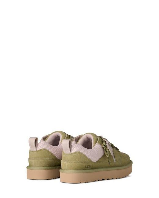 Ugg Multicolor Lo Lowmel Sneaker