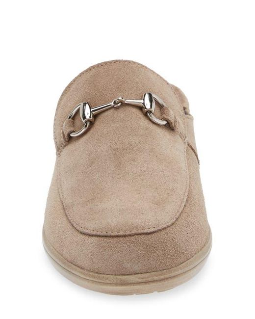Naot Brown Halny Mule