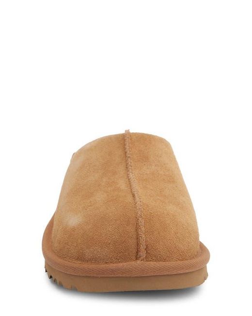 Ugg Brown Loria Clog