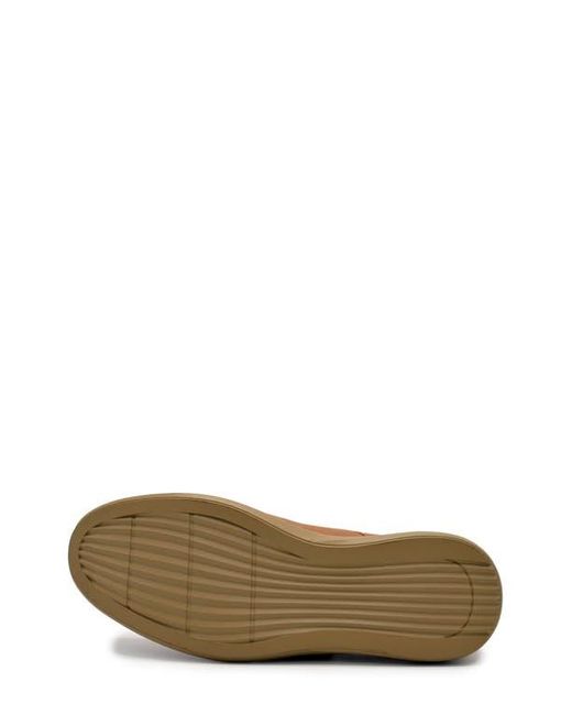Aston Marc Brown Durant Derby for men