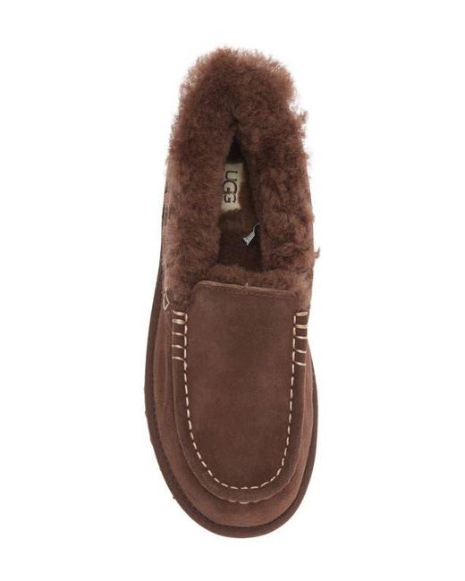 Ugg Brown Ansley Parc Genuine Shearling Platform Slipper
