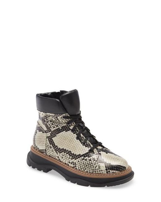 Linea Paolo Multicolor Boca Lace-Up Boot