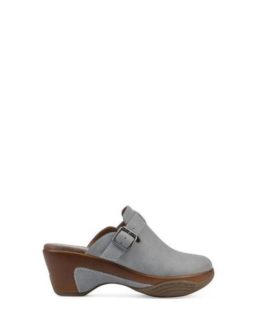 White Mountain Gray Viewed Mule