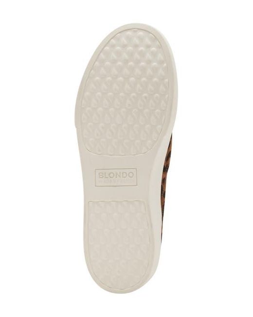 Blondo Brown Giavana Slip-On Sneaker