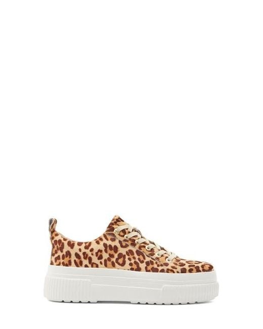 J/Slides Multicolor West Platform Sneaker