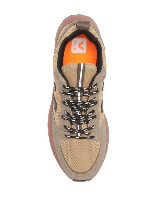 Veja Brown Venturi Sneaker for men