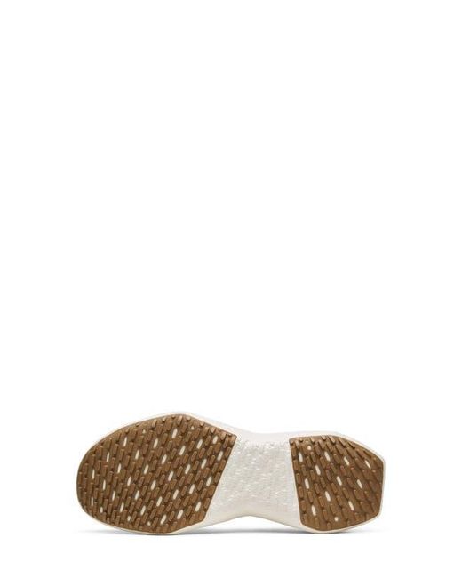ALLBIRDS White Tree Dasher 2 Sneaker