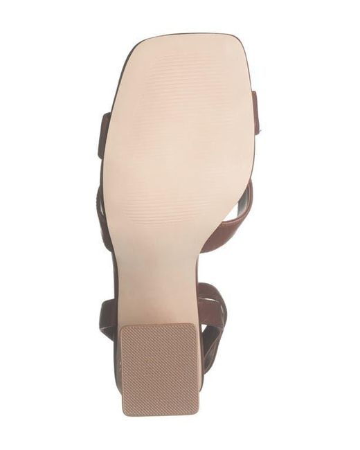 Steve Madden Renley Block Heel Ankle Strap Sandal in Brown