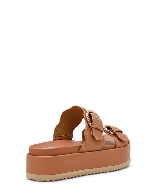 Dolce Vita Brown Serpent Platform Slide Sandal