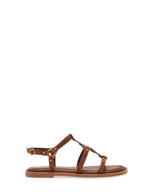 Rag & Bone Brown Geo Stud Gladiator Sandal
