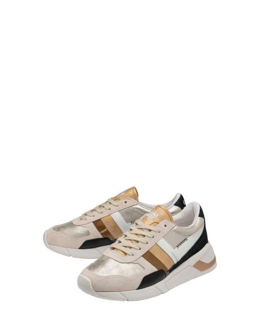 Gola Multicolor Classics Eclipse Mode Sneaker
