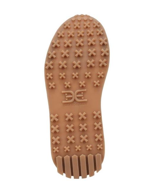 Sam Edelman Multicolor Langley Sneaker