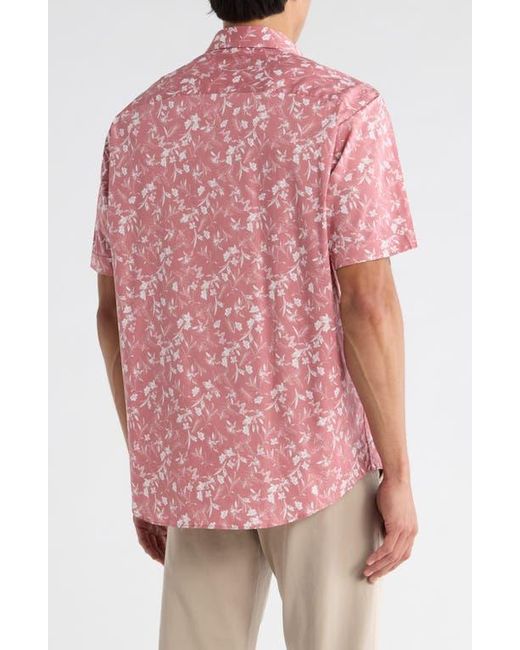 Bugatchi Pink Orson Short Sleeve Stretch Cotton Button-Up Shirt for men