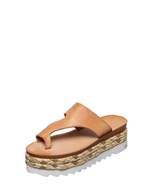 Antelope Brown Abra Platform Sandal