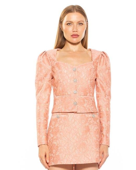 Alexia Admor Pink Rowan Lace Jacket