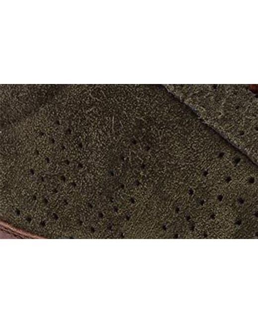 P448 Brown Soho Perforated Sneaker for men