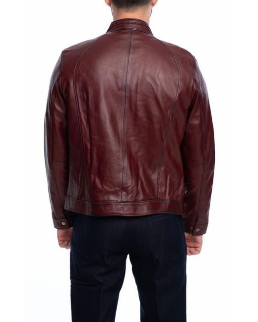 VELLAPAIS Purple Smooth Leather Jacket for men