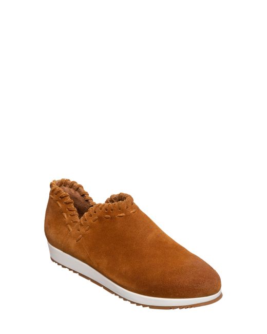 Antelope Brown Scotty Slip-on Sneaker