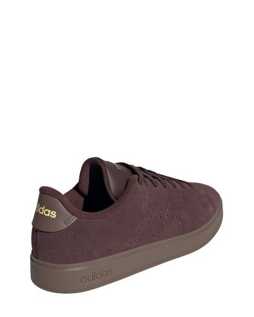 Adidas Brown Advantage 2.0 Low Top Sneaker for men