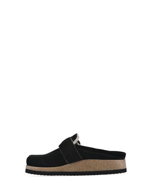 White Mountain Black Bueno Mule