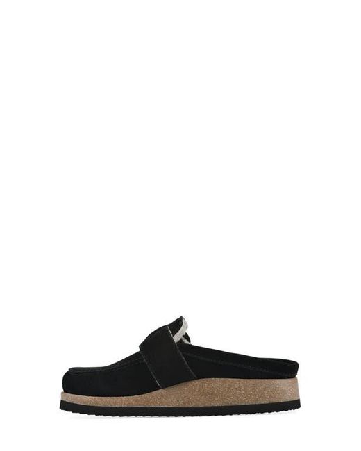 White Mountain Black Bueno Mule