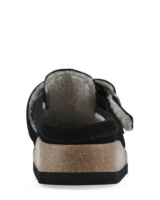 White Mountain Black Bueno Mule