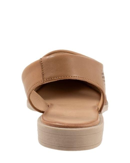 BUENO Brown Bianca Perf Slingback Pointed Toe Flat