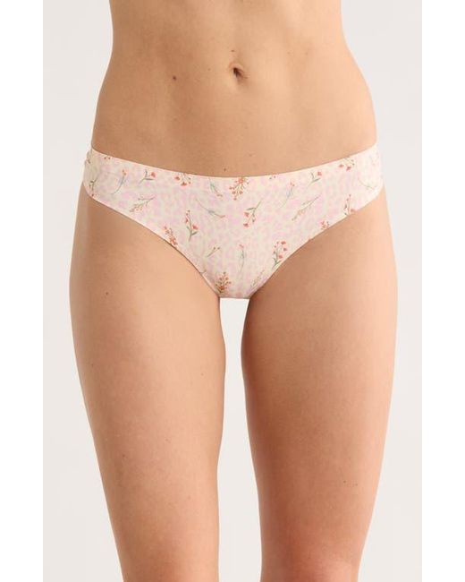 Honeydew Intimates White Sandra Assorted Thong