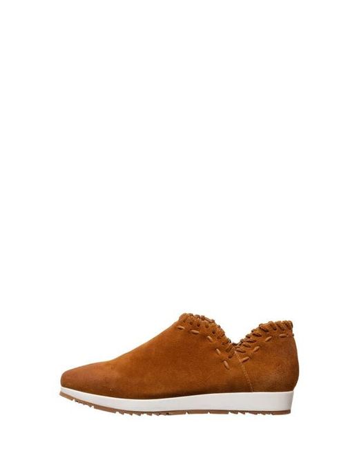 Antelope Brown Scotty Slip-On Sneaker