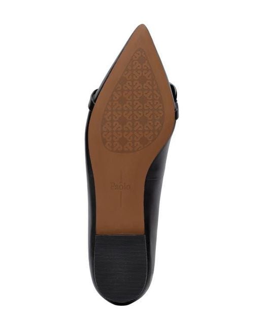 Linea Paolo Black Nora Pointed Toe Flat