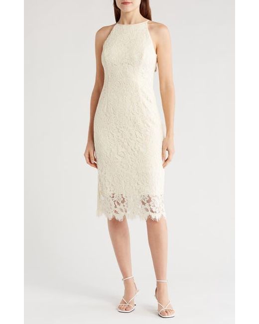 Eliza j sleeveless lace sheath dress hotsell