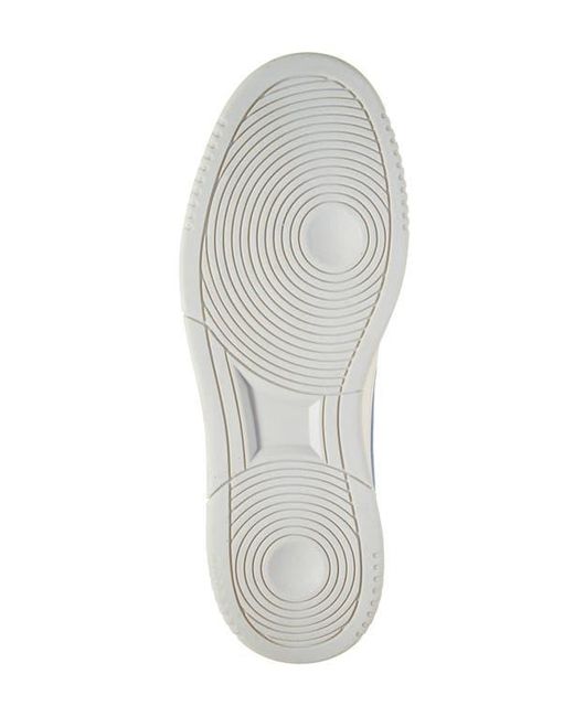 Roberto Cavalli Blue Cavalli Class Two-Tone Perforated Low Top Sneaker for men