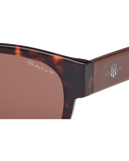Gant Brown Square Sunglasses for men