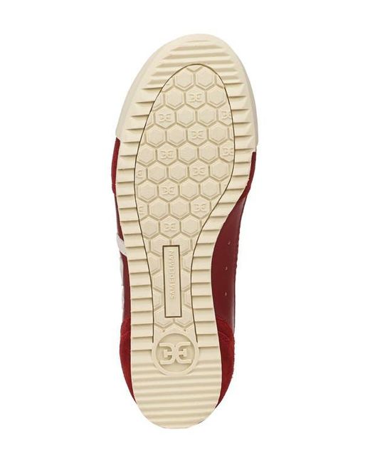 Sam Edelman Red Ivey Mesh Sneaker