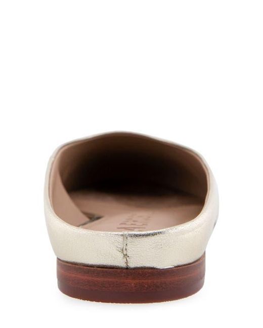 Aerosoles Multicolor Amara Mule
