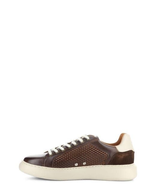 Ambitious Brown 13450 Woven Low Top Sneaker for men