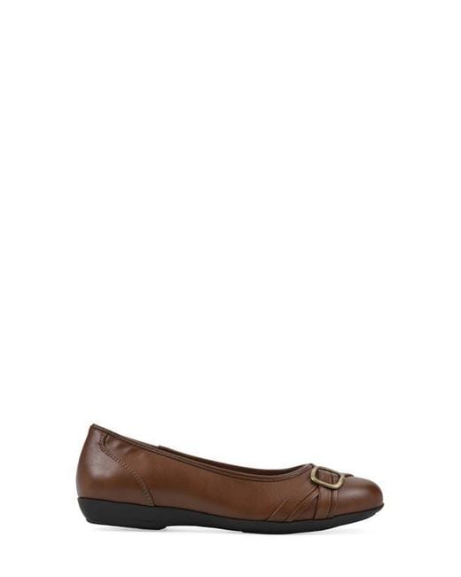 White Mountain Brown Calming Buckle Strap Flat