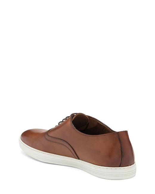 To Boot New York Brown Winters Sneaker for men
