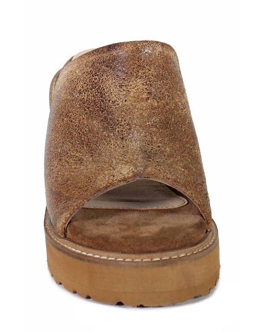 Diba True Brown Cloud Fall Wedge Sandal